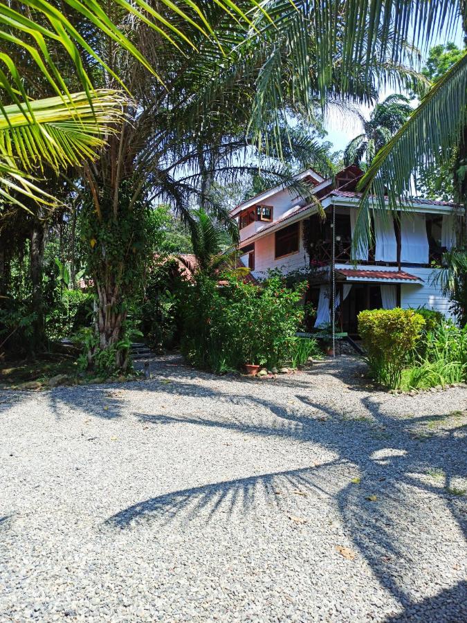Chilamate Holiday House Puerto Viejo de Talamanca Exterior photo