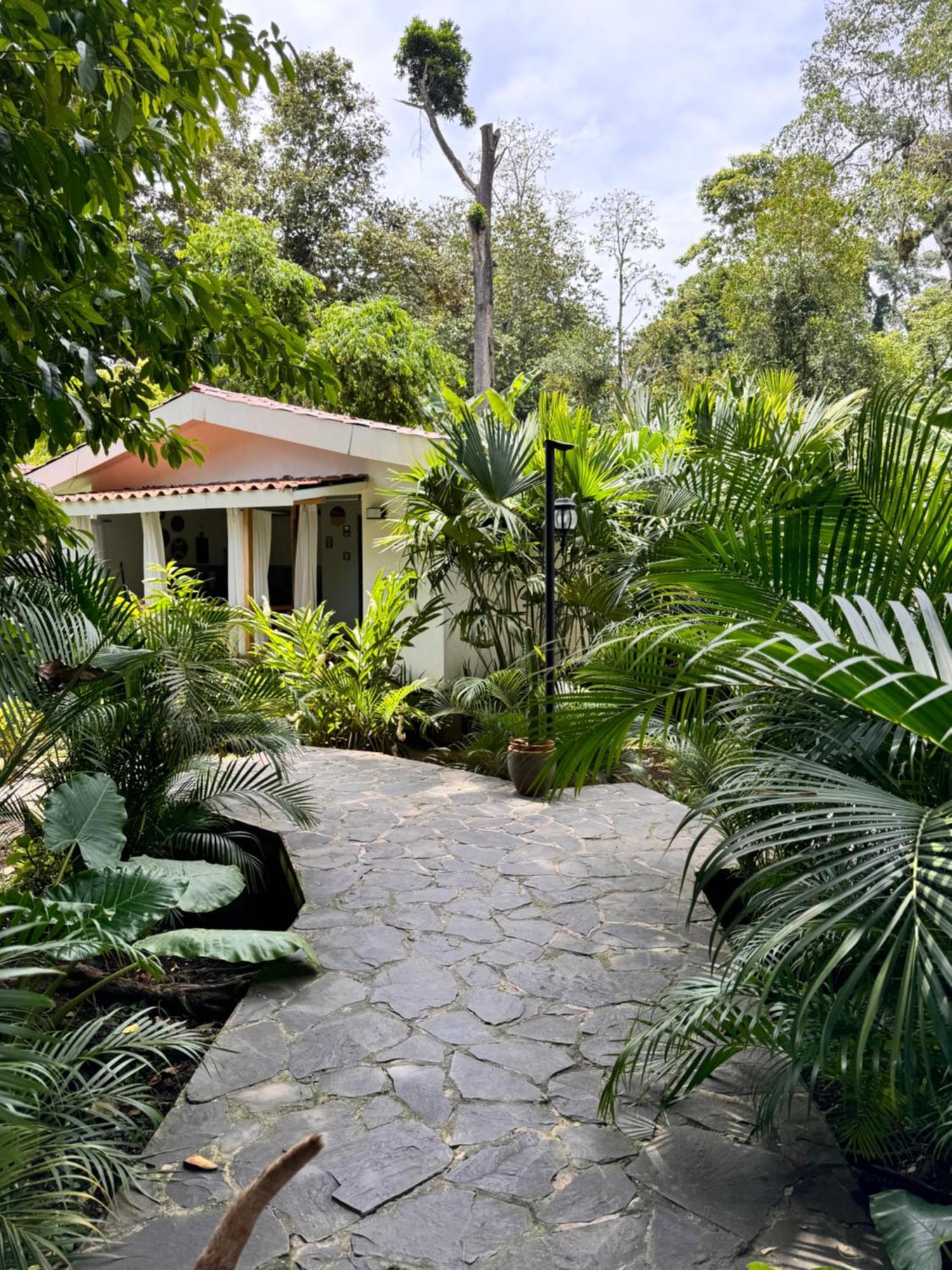 Chilamate Holiday House Puerto Viejo de Talamanca Exterior photo