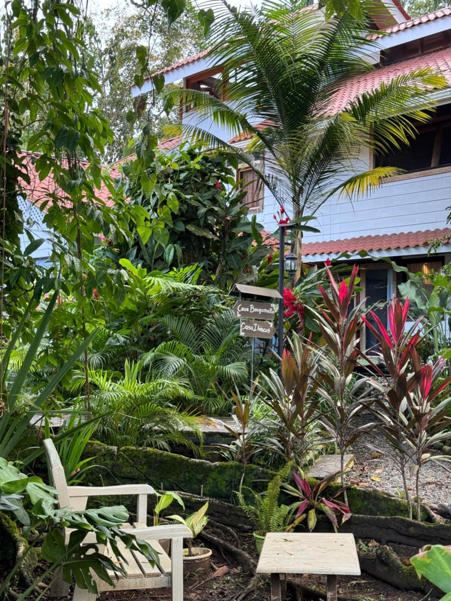 Chilamate Holiday House Puerto Viejo de Talamanca Exterior photo